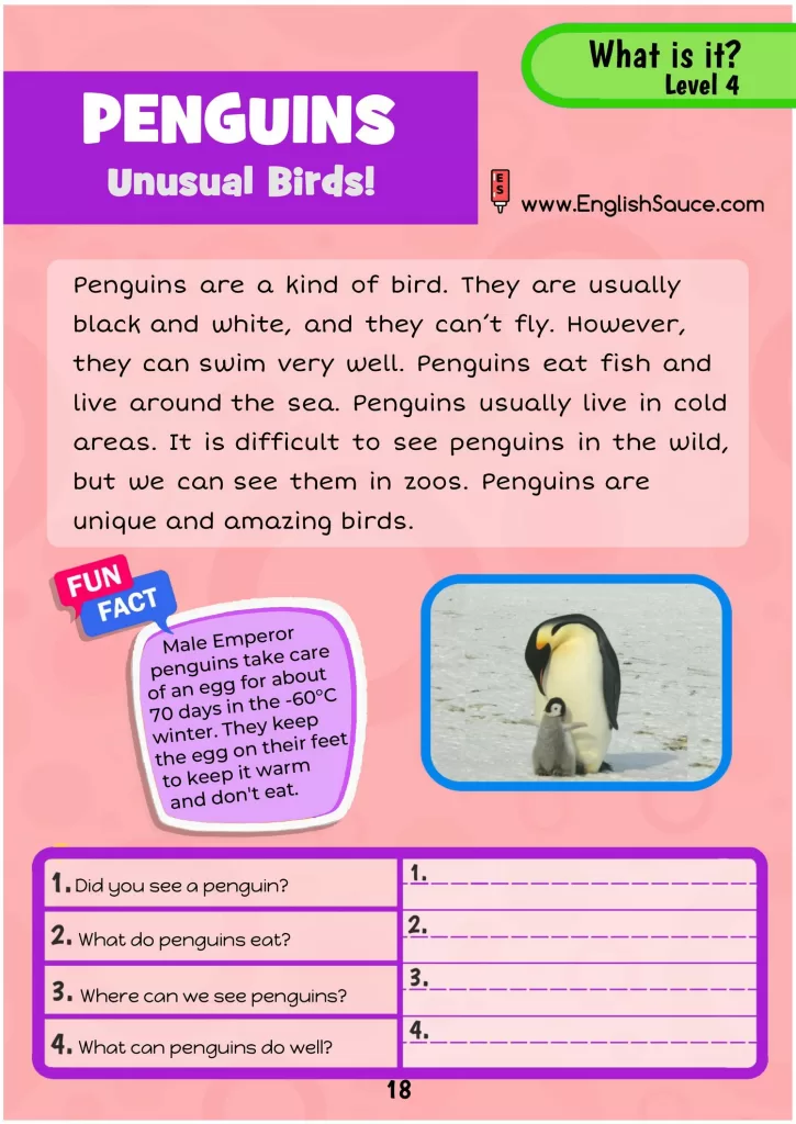 Guided reading comprehension English ESL worksheet. A science of reading aligned printable for A2 homeschool, ESL students and second/third grade students.