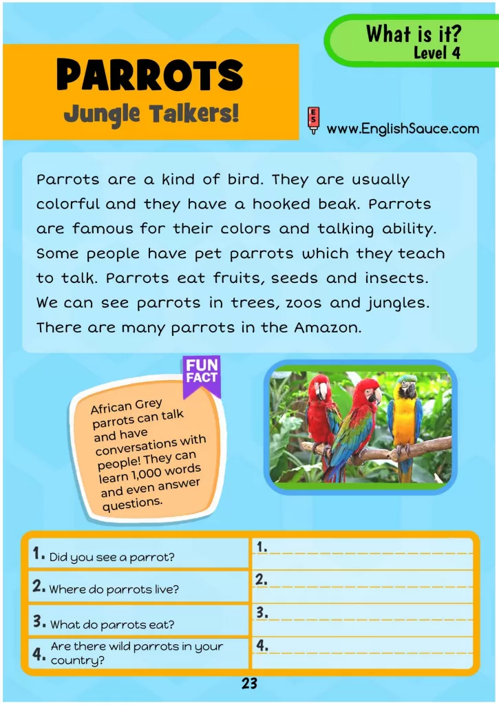 Science of Reading aligned guided reading worksheet about parrots for basics ESL and 2nd-third grade students.