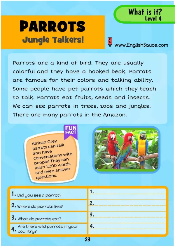 Science of Reading aligned guided reading worksheet about parrots for basics ESL and 2nd-third grade students.